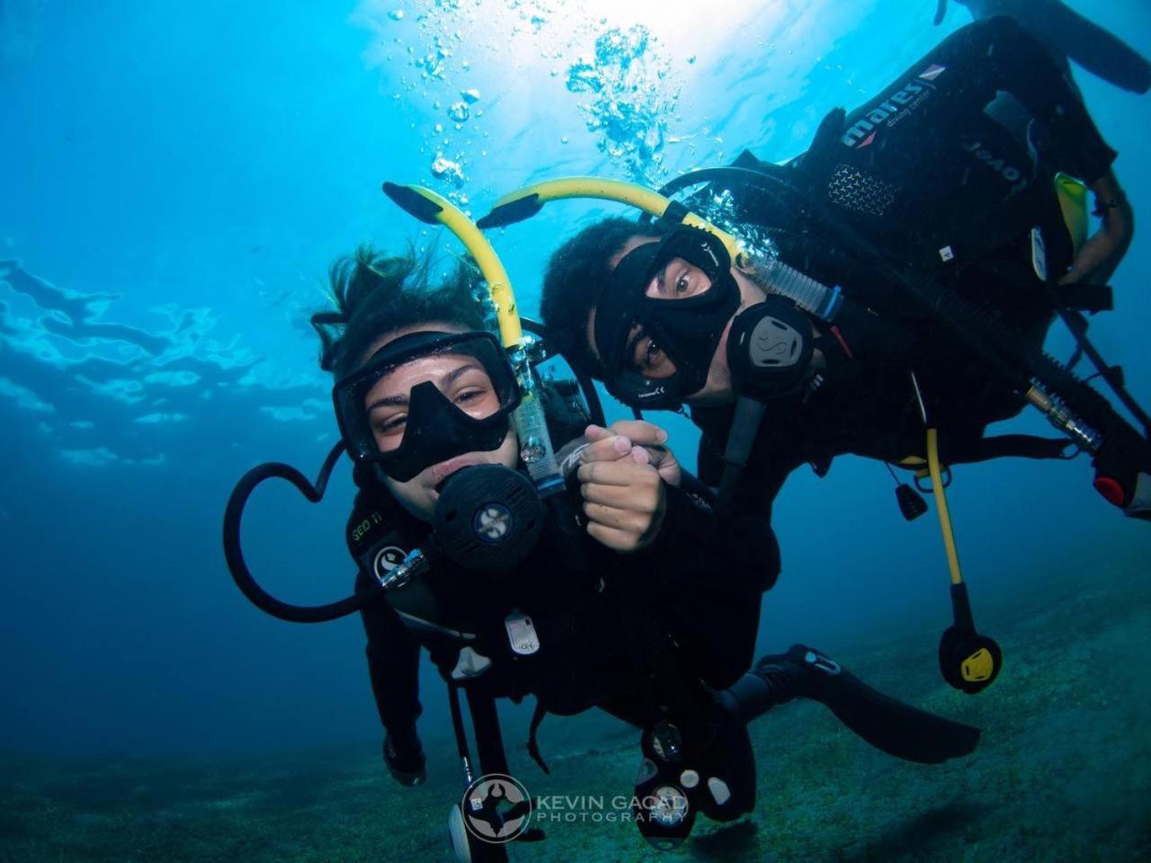 דאווין Vitaminsea Room מראה חיצוני תמונה